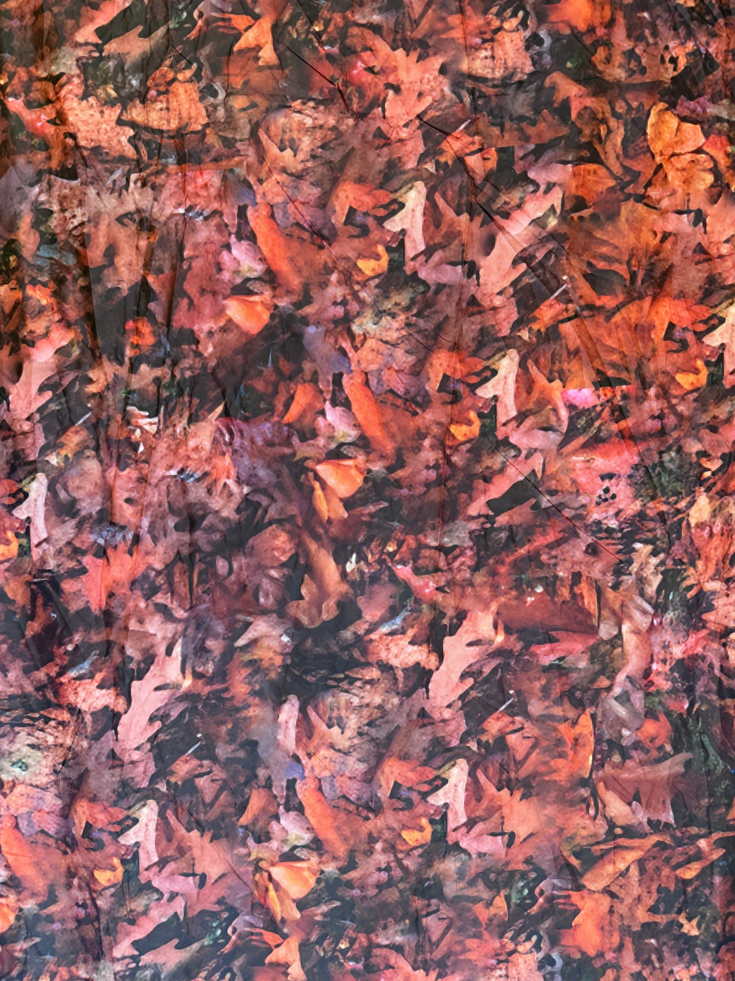 Large Fallen Leaves